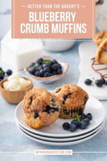 Two blueberry crumb muffins on a white plate next to fresh blueberries. Text overlay includes recipe name.