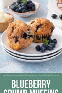 Two blueberry crumb muffins on a white plate next to fresh blueberries. Text overlay includes recipe name.