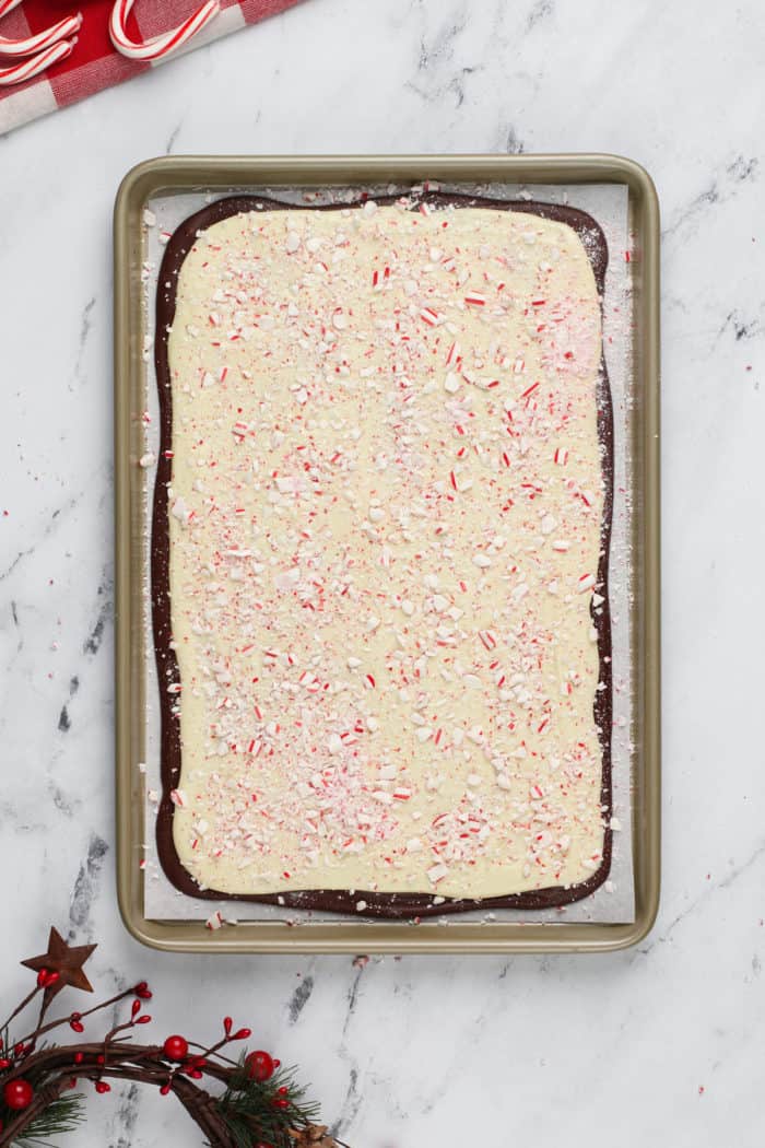 Crushed candy canes sprinkled on top of peppermint bark on a sheet tray.