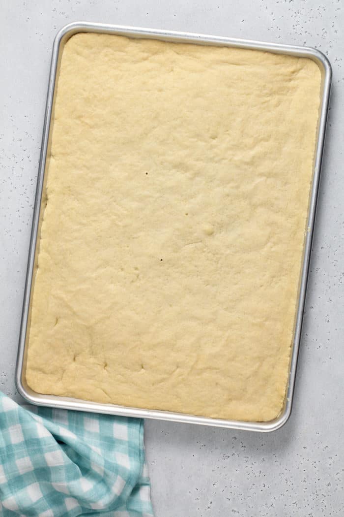Baked sugar cookie bars in a sheet pan, fresh from the oven