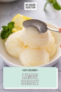 Lemon Sorbet Recipe  My Baking Addiction