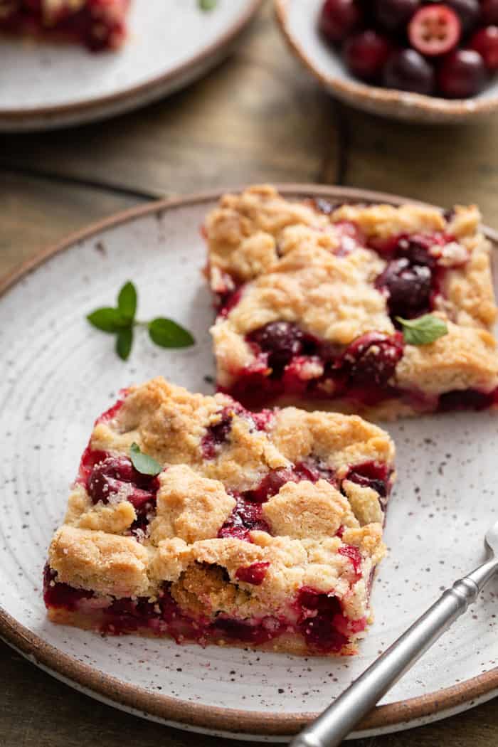 Two cranberry crumb bars set next to each other on a plate