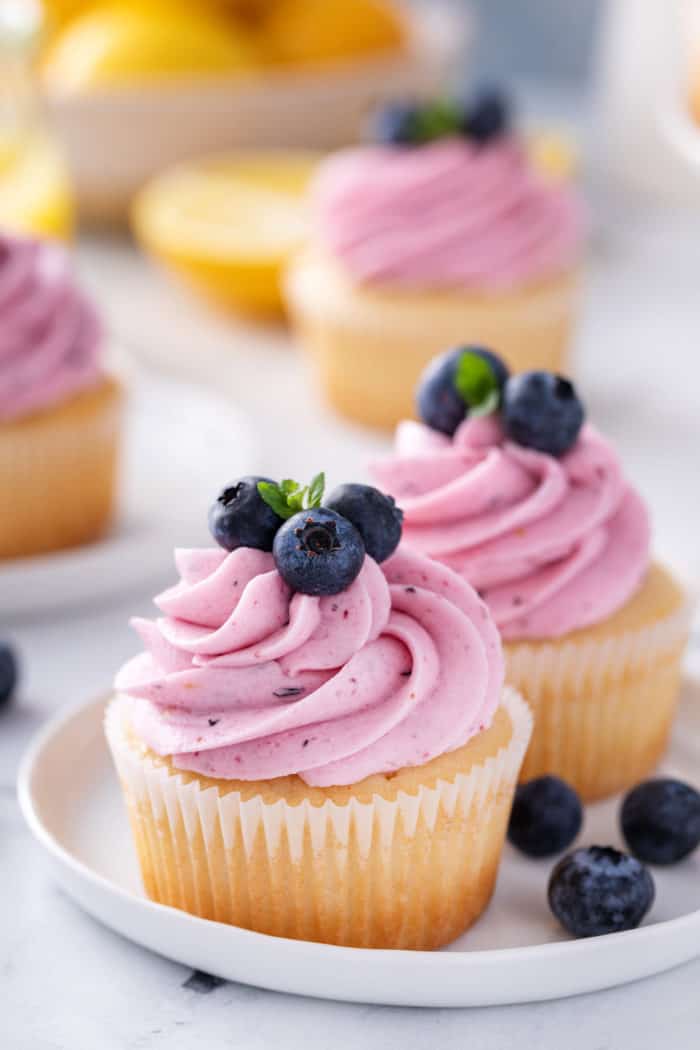 Two lemon cupcakes topped with lemon-blueberry frosting on a white plate.