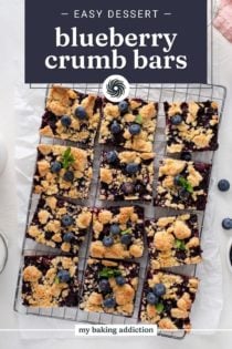 Overhead view of sliced blueberry crumb bars. Text overlay includes recipe name.