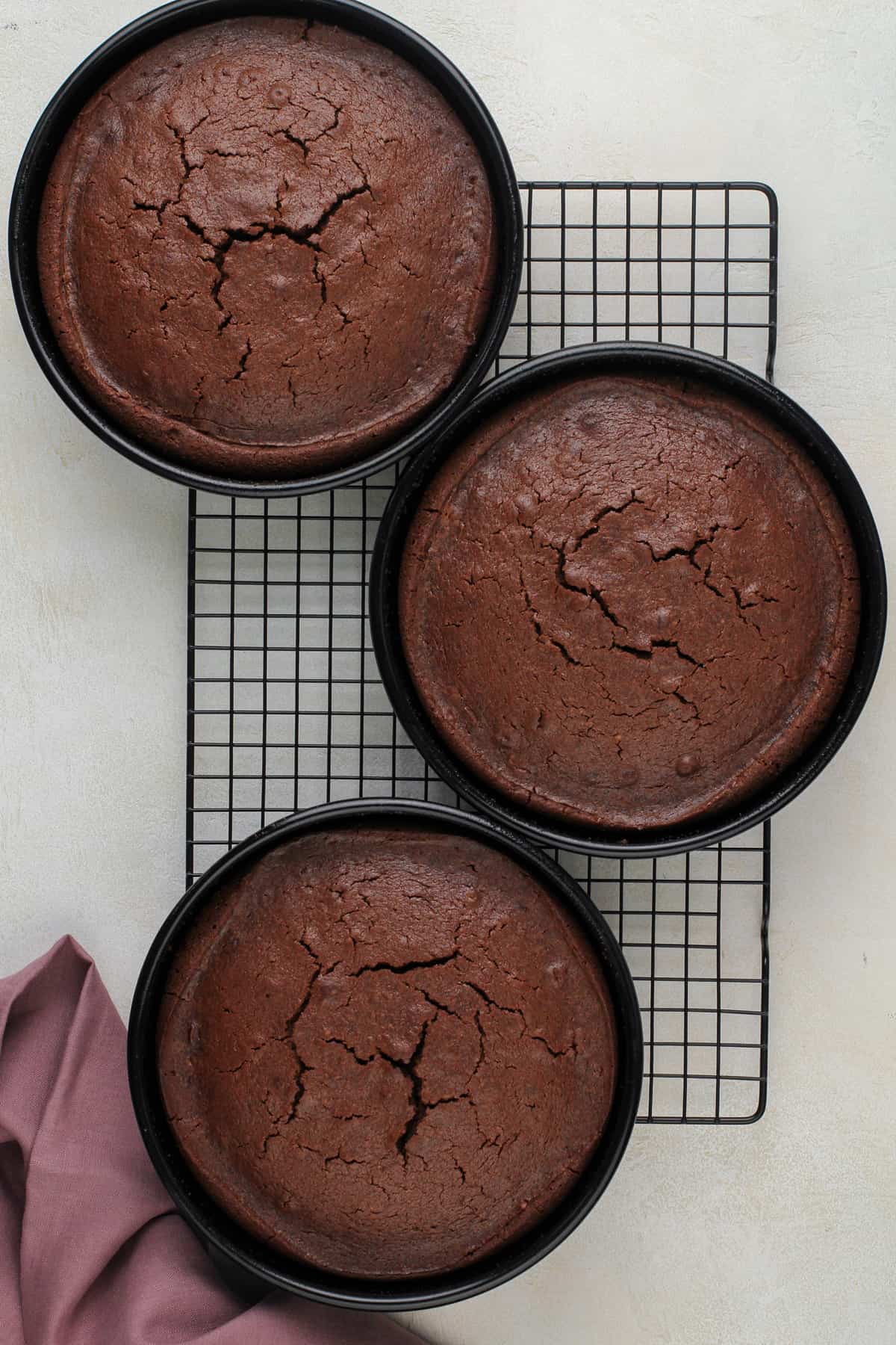 Baked chocolate guinness cake layers cooling on a wire rack.