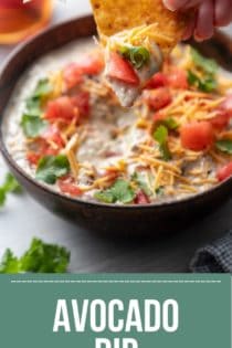 Hand holding up a tortilla chip that has been dipped in avocado dip. Text overlay includes recipe name.