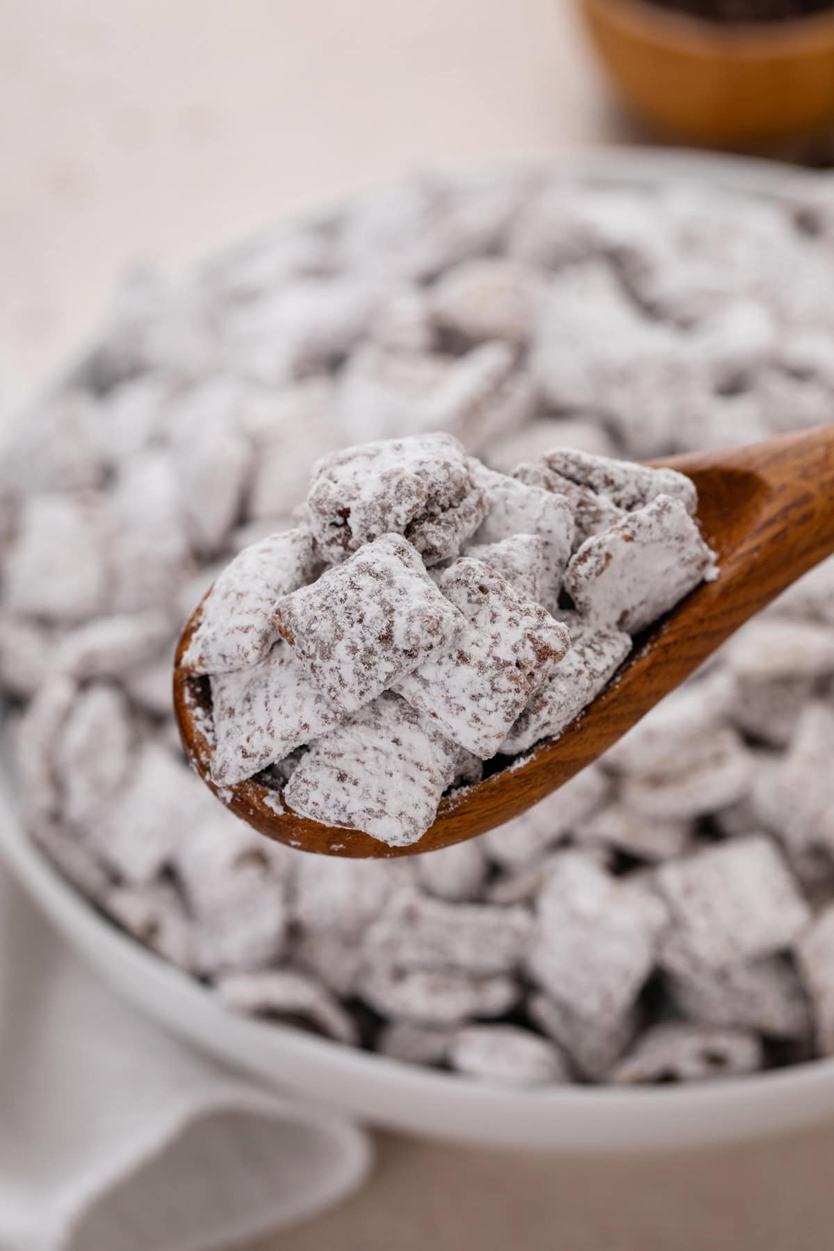 Wooden spoon holding up puppy chow to the camera.