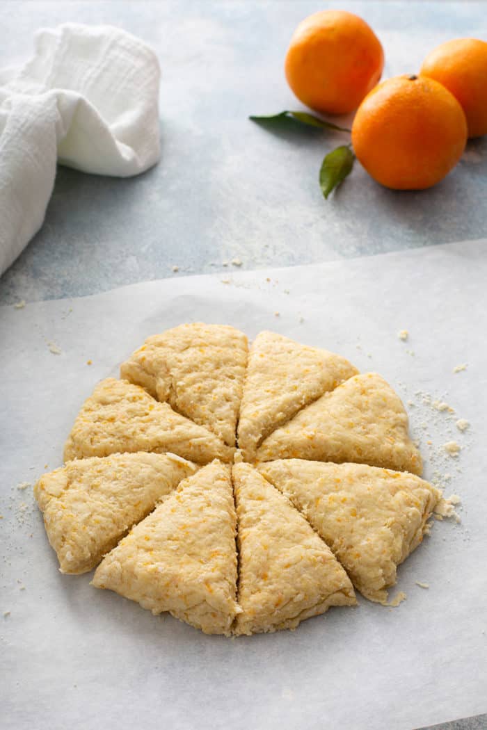 Orange scone dough shaped into a circle and cut into 8 triangles on a piece of parchment paper