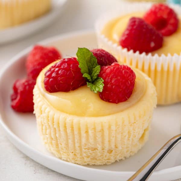 Unwrapped mini lemon cheesecake on a white plate.