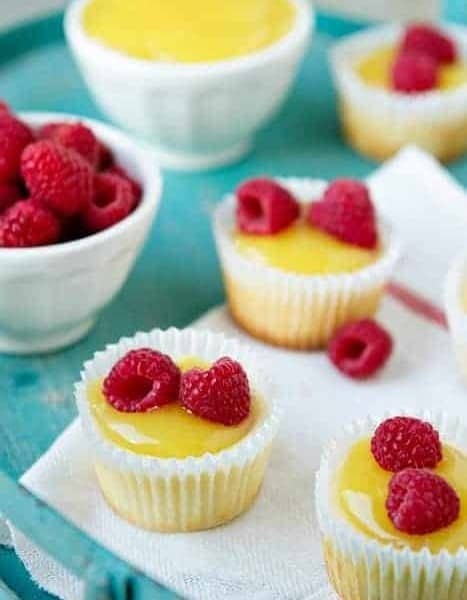 mini lemon cheesecake