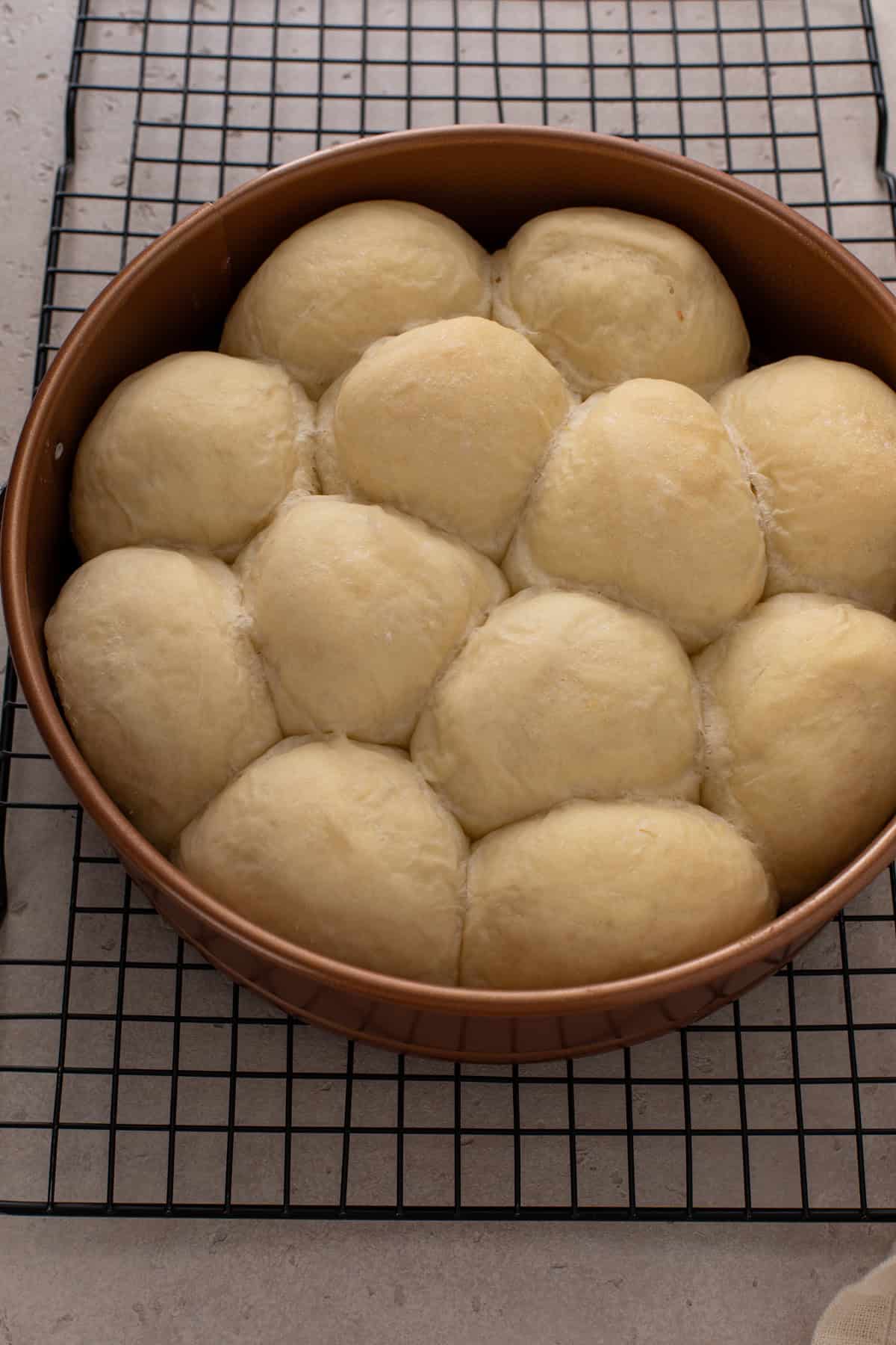 Par baked classic dinner rolls cooling on a wire rack.