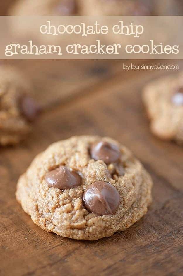 Chocolate Chip Graham Cracker Cookies