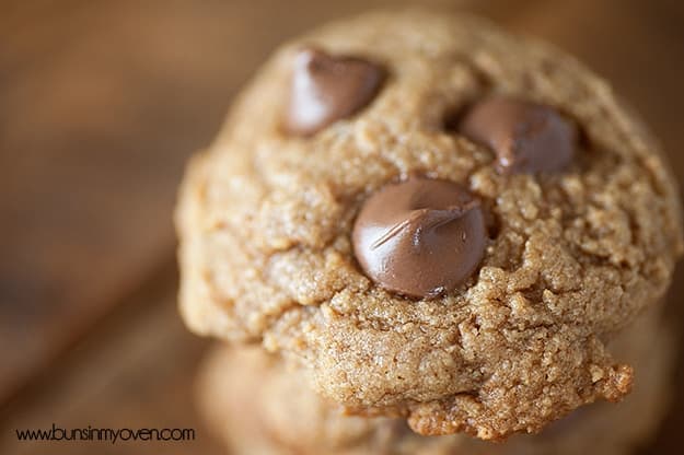graham-cracker-chocolate-chip-cookies