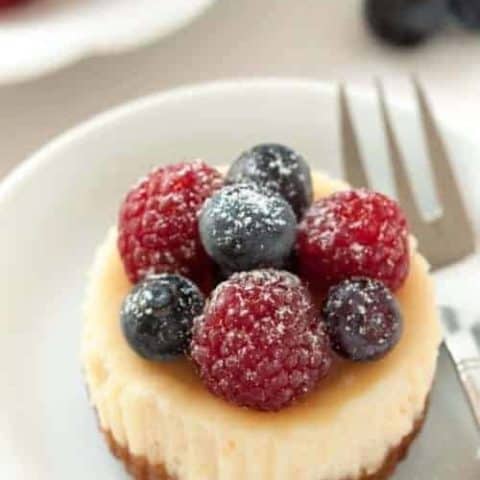 Gluten-Free Mini Cheesecakes will be a hit at your next party. Your guests will love them!