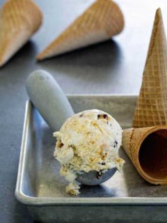 No-Churn S'mores Ice Cream is everything you love about that campfire treat! So delicious.