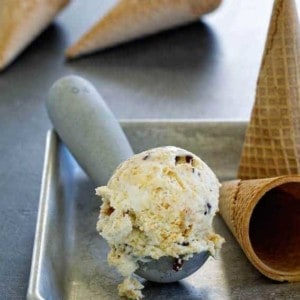 No-Churn S'mores Ice Cream is everything you love about that campfire treat! So delicious.