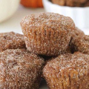 Gluten-Free Pumpkin Donut Holes will make your Fall breakfast extra special. Great for the weekday or weekend brunch.