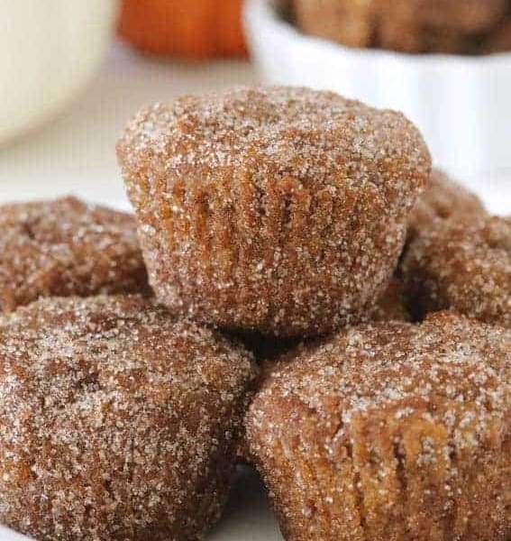 Gluten-Free Pumpkin Donut Holes will make your Fall breakfast extra special. Great for the weekday or weekend brunch.