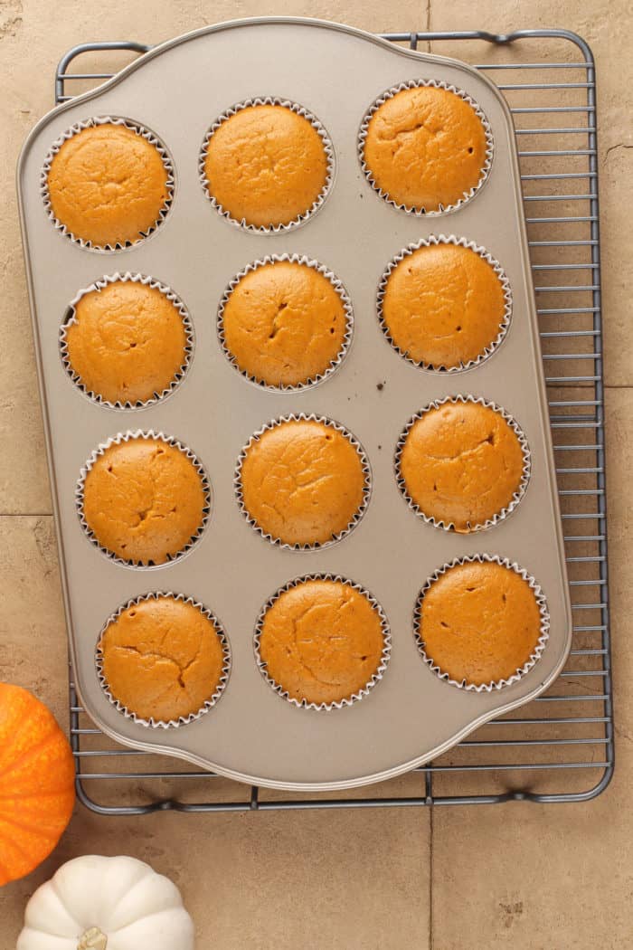 Baked mini pumpkin cheesecakes in a cupcake pan, fresh from the oven.