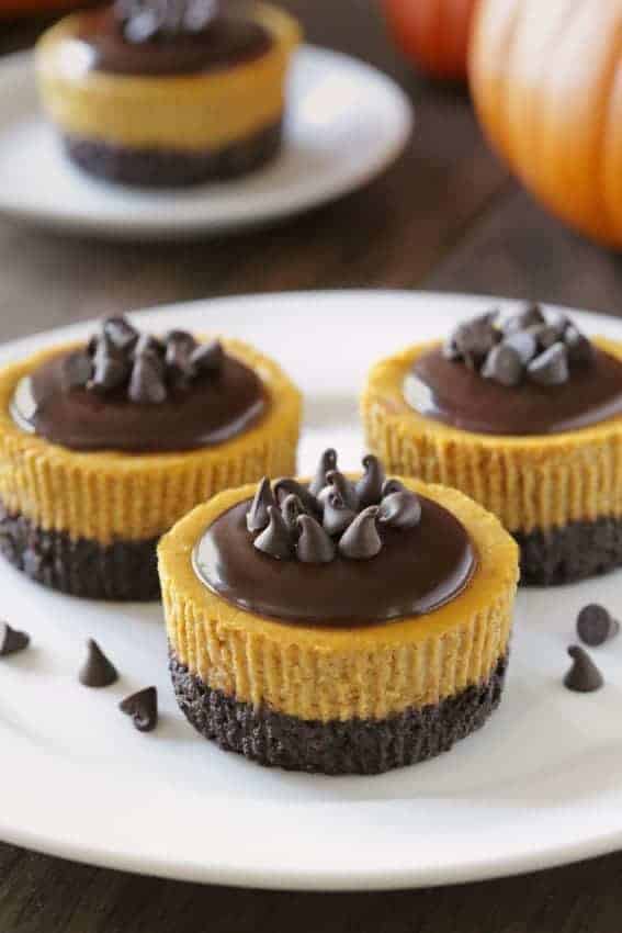 Mini Pumpkin Cheesecakes with Chocolate will bring everyone running to the dessert table. Who can resist pumpkin and chocolate?
