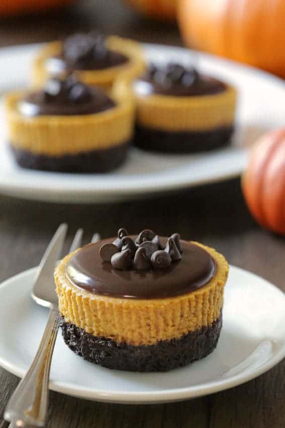 Mini Pumpkin Cheesecakes with Chocolate can be made ahead. No stress for your Thanksgiving holiday!