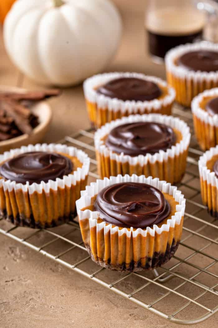 Mini pumpkin cheesecakes topped with chocolate ganache on a wire cooling rack.
