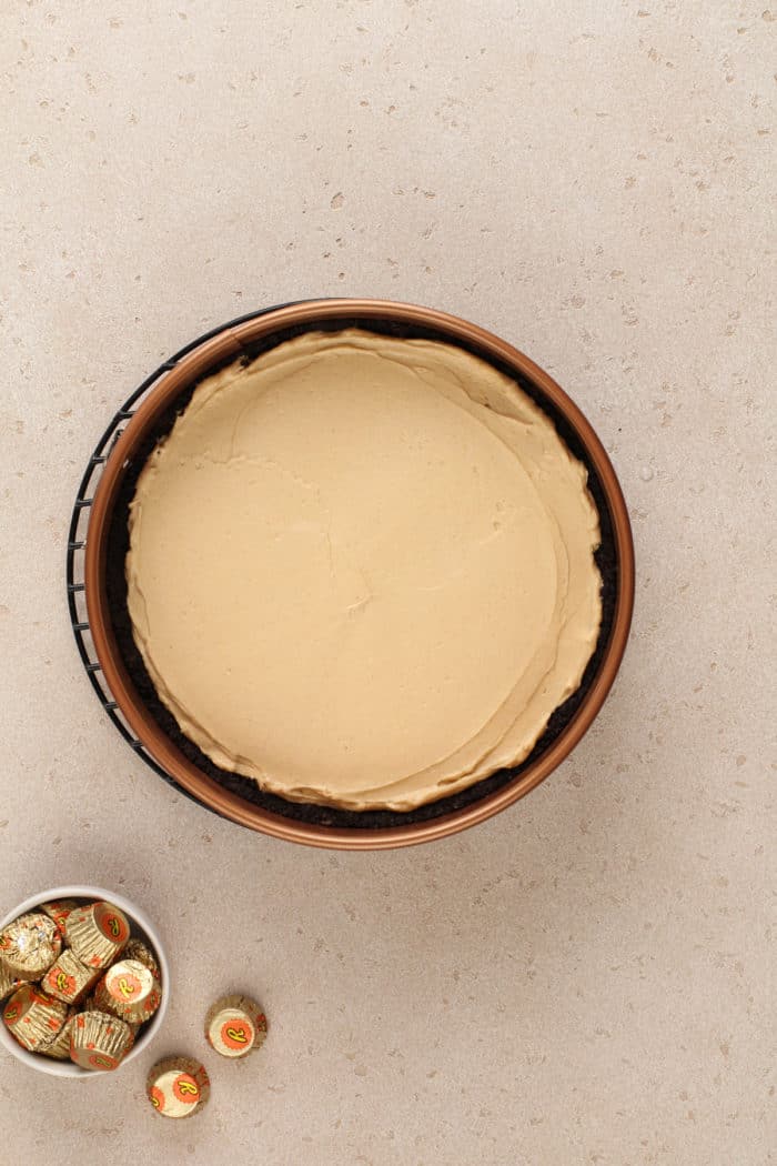 Peanut butter filling spread into a chocolate cookie crust in a springform pan, ready to be chilled.