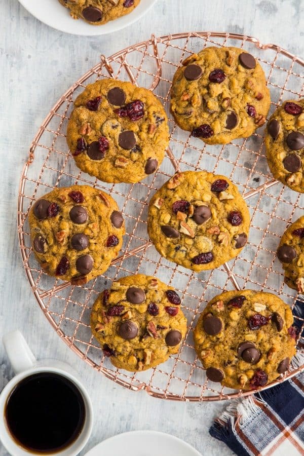 Pumpkin Dark Chocolate Cranberry Cookies combine your favorite autumn flavors. The dark chocolate and pumpkin are perfect together!