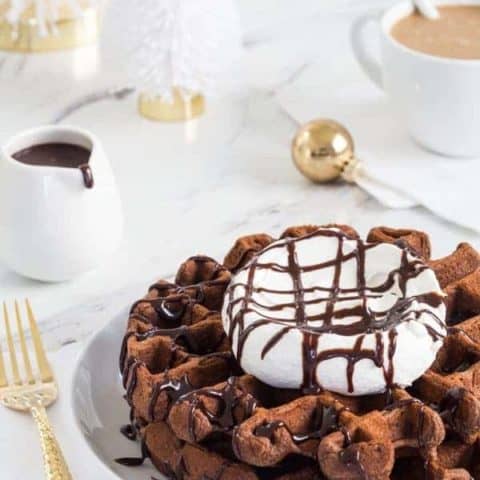 Chocolate Eggnog Waffles