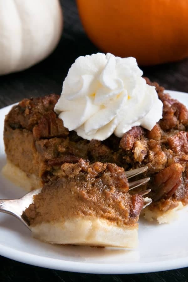 Pumpkin Pecan Bars are the perfect fall dessert the whole family will love. Recipe contains a gluten-free option. 