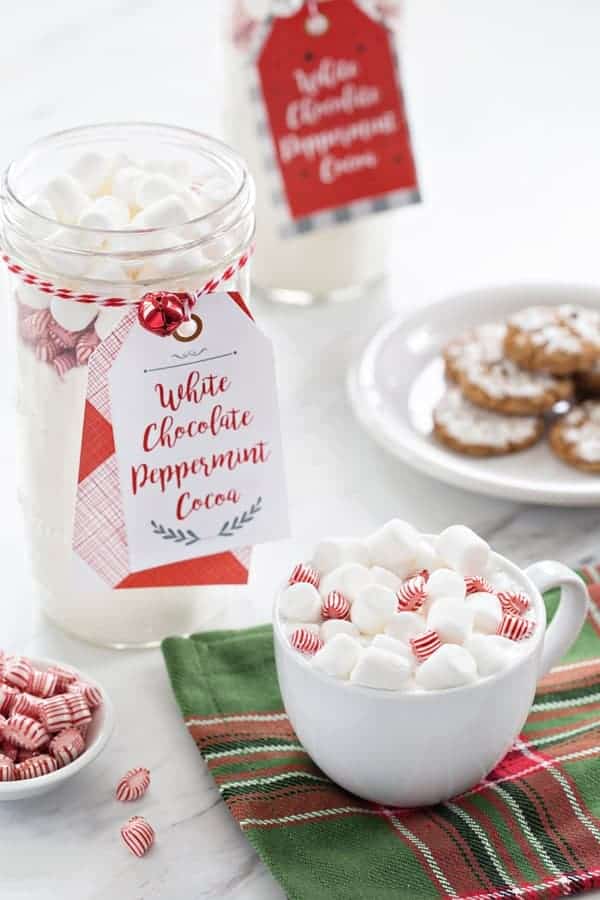 Chocolate Almond Kiss Cookies are a fun twist on a holiday classic! Easy to make and delicious to drink!