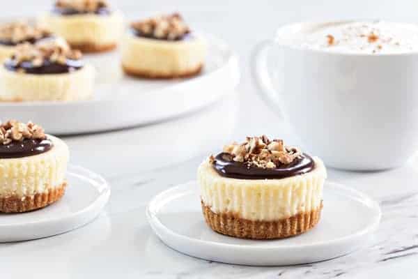 Mini Chocolate Pecan Cheesecakes will cure any nutty chocolate craving you've got going on. So delicious!