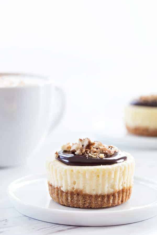 Mini Chocolate Pecan Cheesecakes will cure any nutty chocolate craving you've got going on. So simple and delicious!
