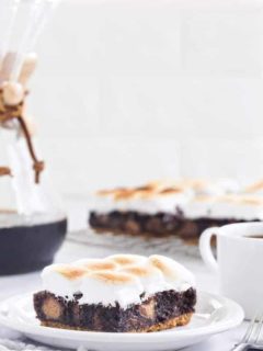 Peanut Butter Cup S'mores Brownies will easily be your new favorite dessert. They're ooey, gooey and totally delicious!