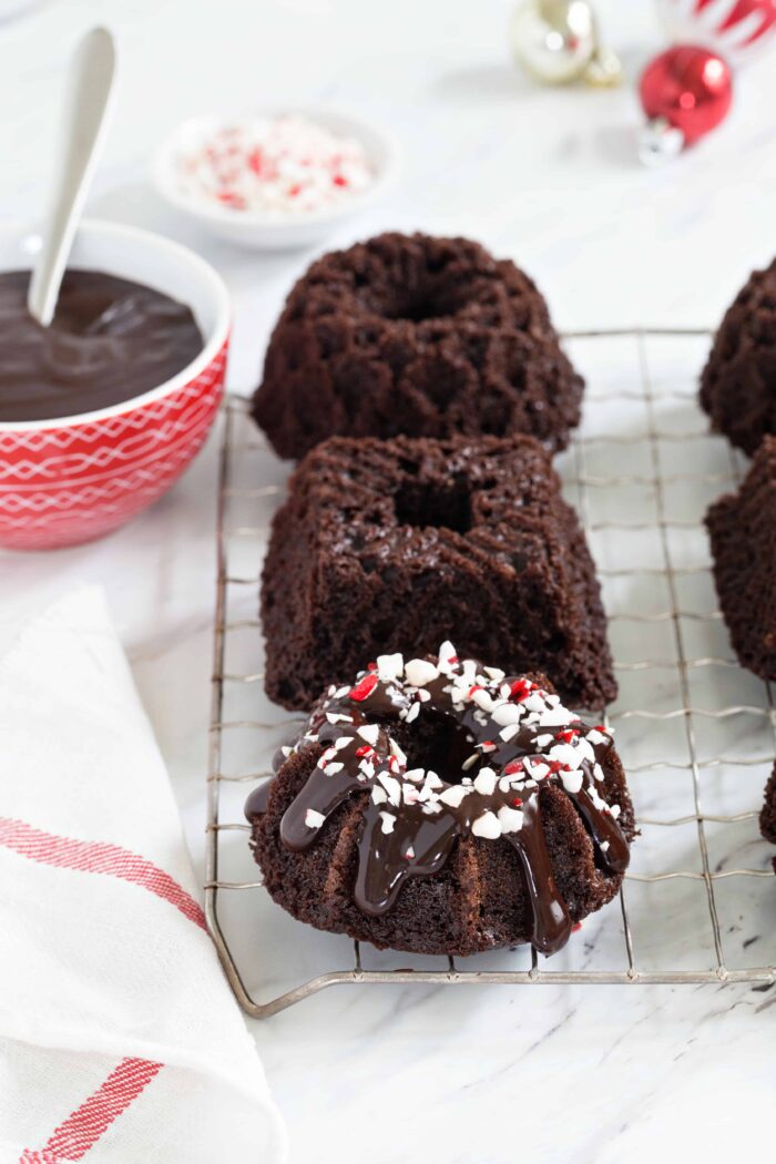 Chocolate Mini Bundt Cakes - Cashmere & Cocktails