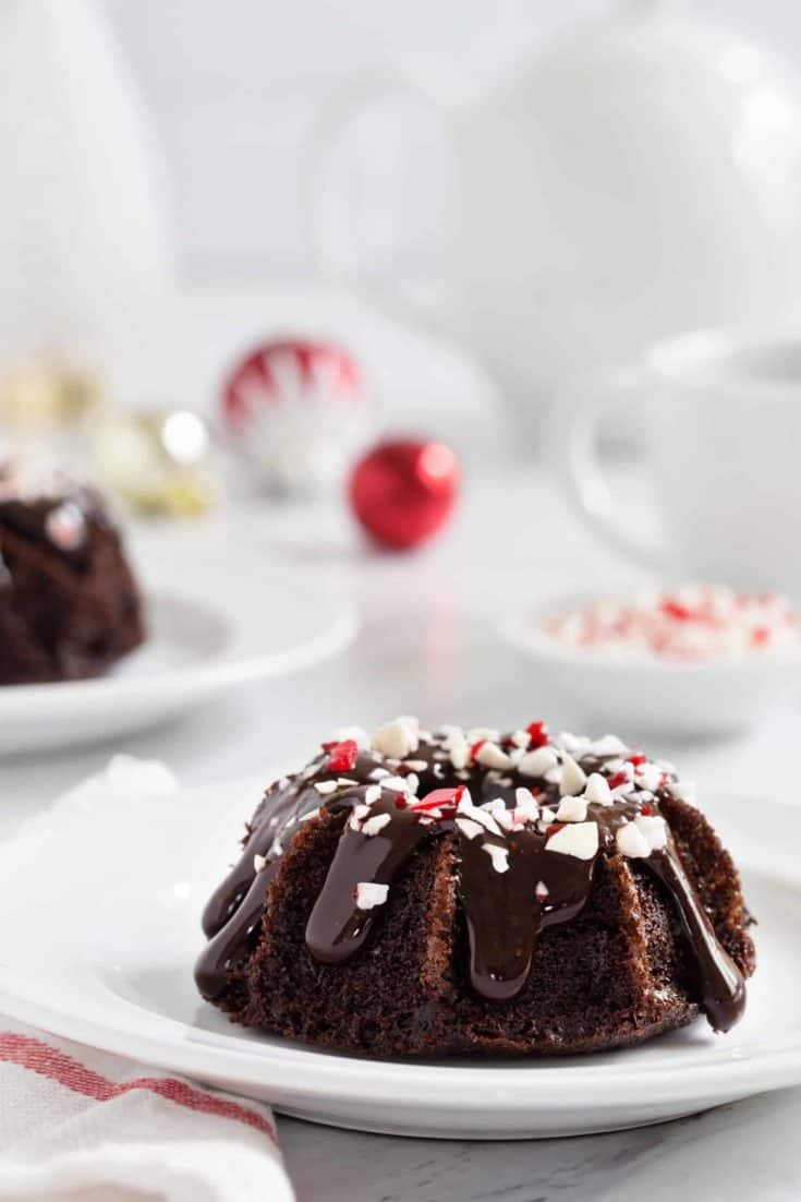 Mini Bundt Cake Pan