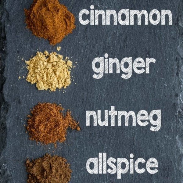Ingredients to make pumpkin spice on a stone surface