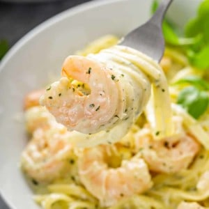 Close up of a bite of creamy pesto pasta wrapped around a fork with a shrimp, with a bowl of pasta in the background