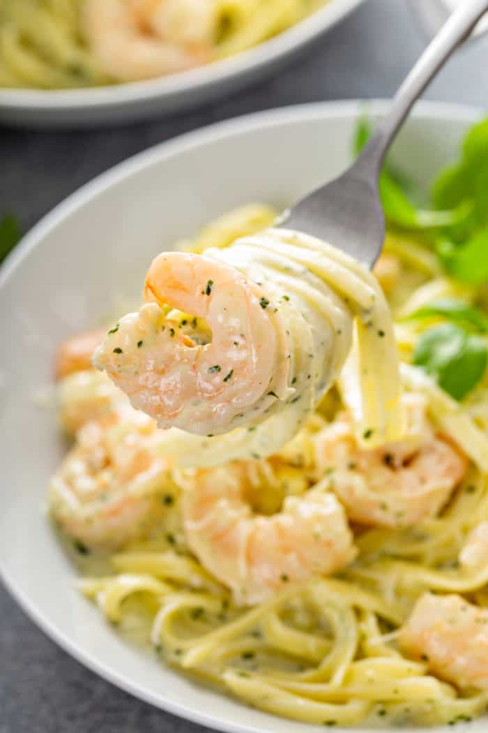 Close up of a bite of creamy pesto pasta wrapped around a fork with a shrimp, with a bowl of pasta in the background