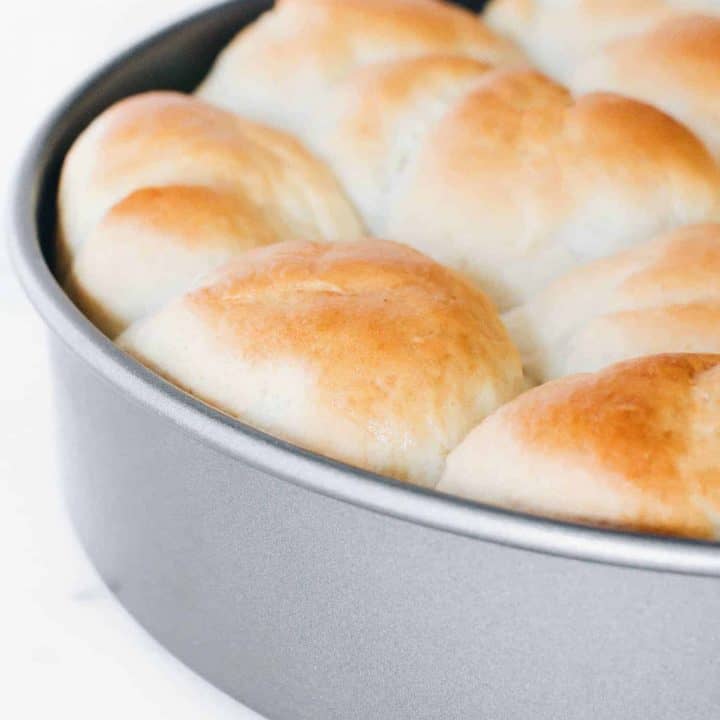 Go-To Dough Dinner Rolls