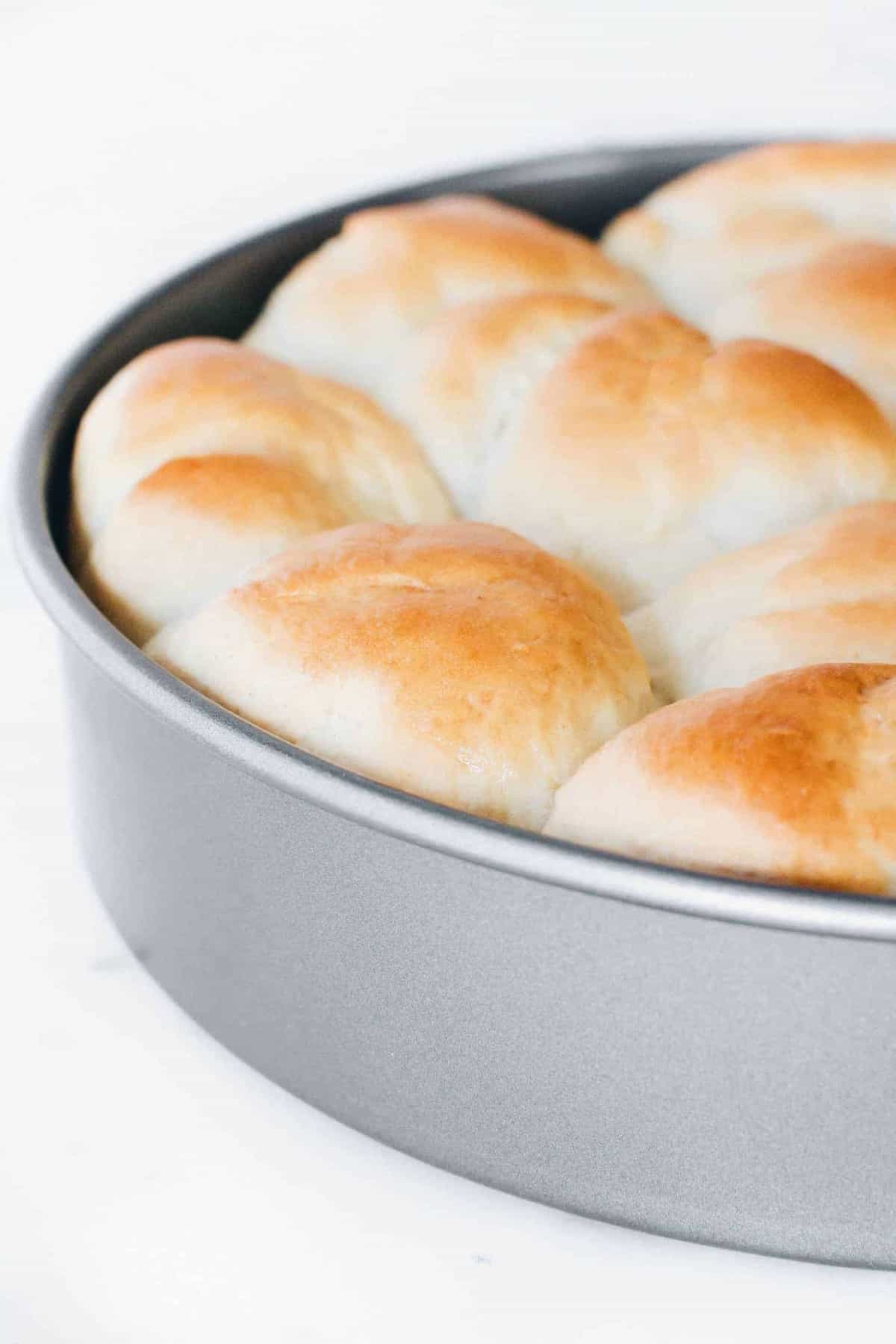 Go-To Dough Dinner Rolls