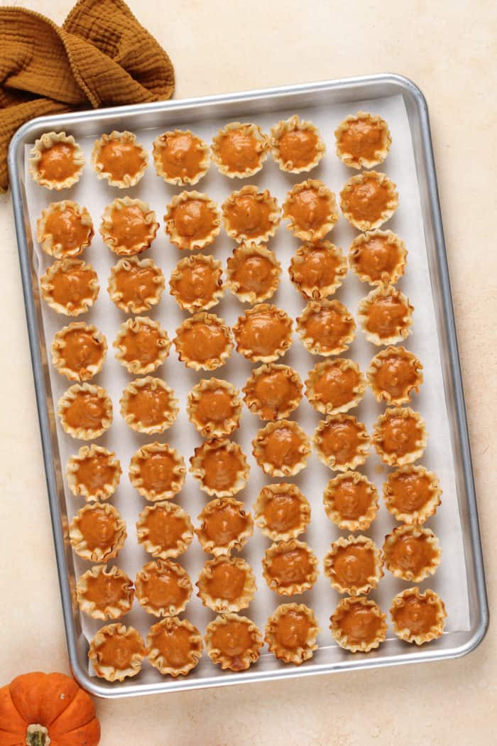 Unbaked mini pumpkin pies on a parchment-lined baking sheet, ready to go in the oven.