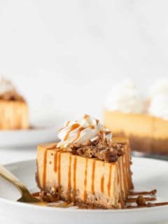 Pumpkin Praline Cheesecake combines sweet praline pecans with creamy pumpkin cheesecake and a gingersnap crust.