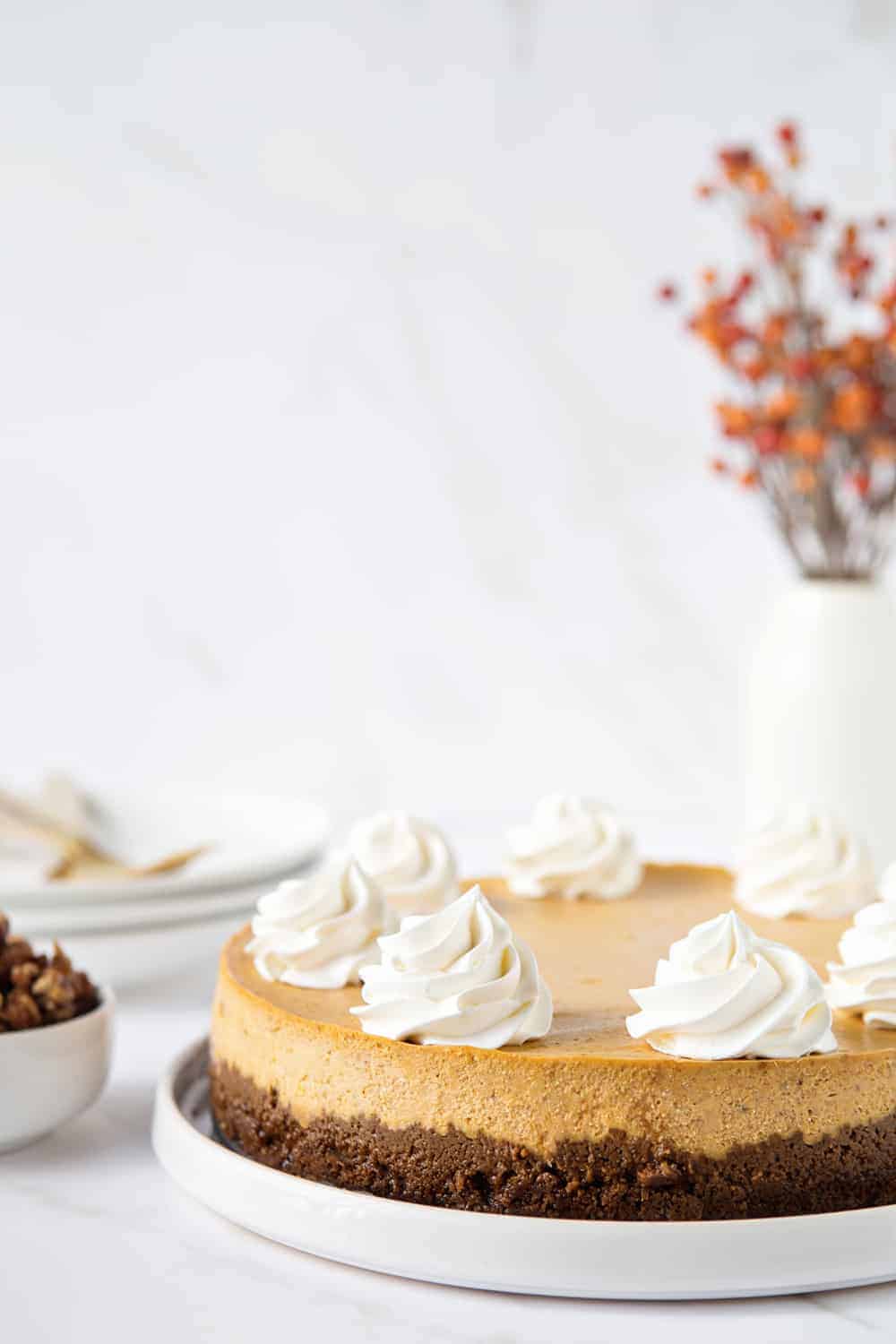 Pumpkin Praline Cheesecake combines sweet praline pecans with creamy pumpkin cheesecake and a gingersnap crust. Perfect for Thanksgiving.