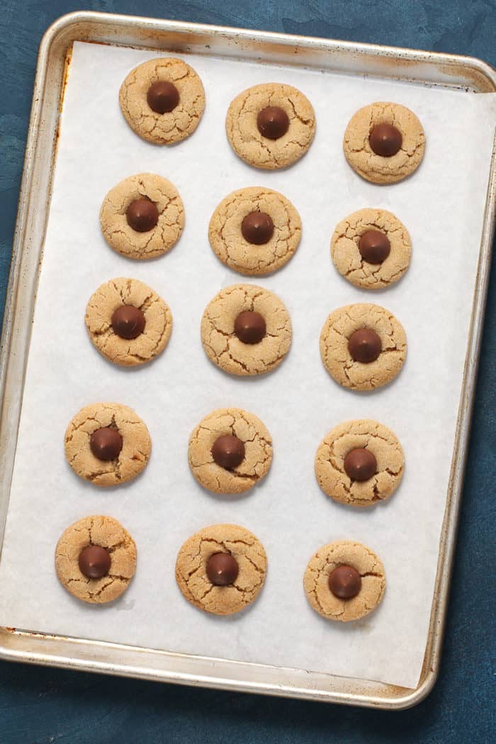 Freshly baked peanut butter blossoms with hershey kisses pressed into the middle lined up on a baking sheet