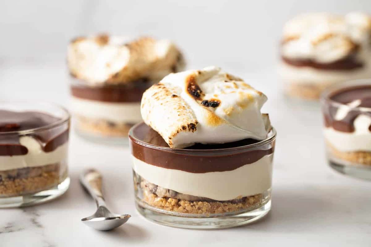 Horizontal Image of No Bake Cookie Dough S'mores Cheesecake on white surface 