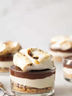 No Bake Cookie Dough S'mores Cheesecake on white surface