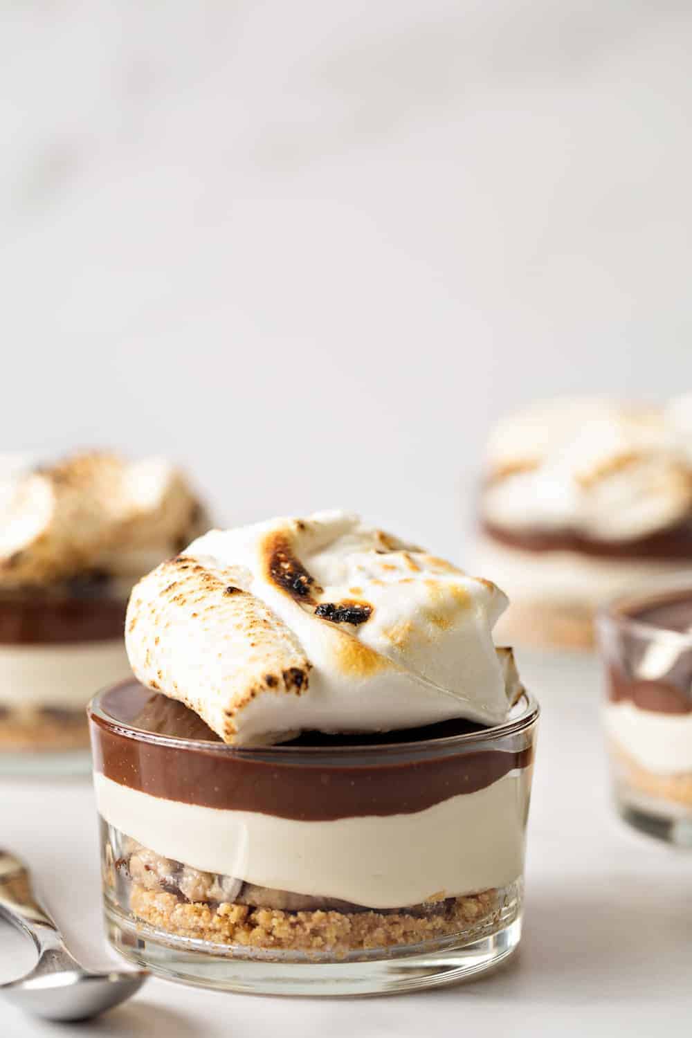 No-Bake S'mores Mini Cheesecakes - Handle the Heat