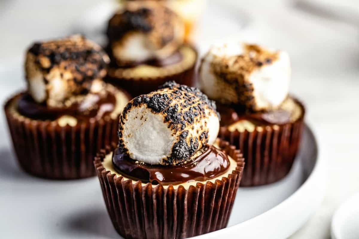 Mini s'mores cheesecakes grouped on a platter