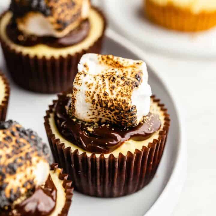 Group of mini s'mores cheesecakes on a platter, topped with toasted marshmallows